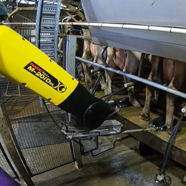 Automation Solutions Australia | Robot Automation Questions and Answers Australian Developed Robotic Teat Sprayer