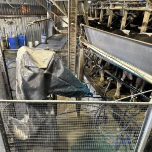 Robotic teat spray system with covers installed on rotary dairy, Inionba Pastoral, Kyabram Victoria